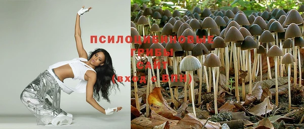бошки Аркадак