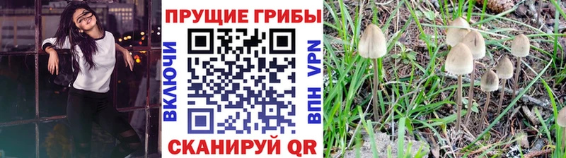 Псилоцибиновые грибы ЛСД  Сарапул 